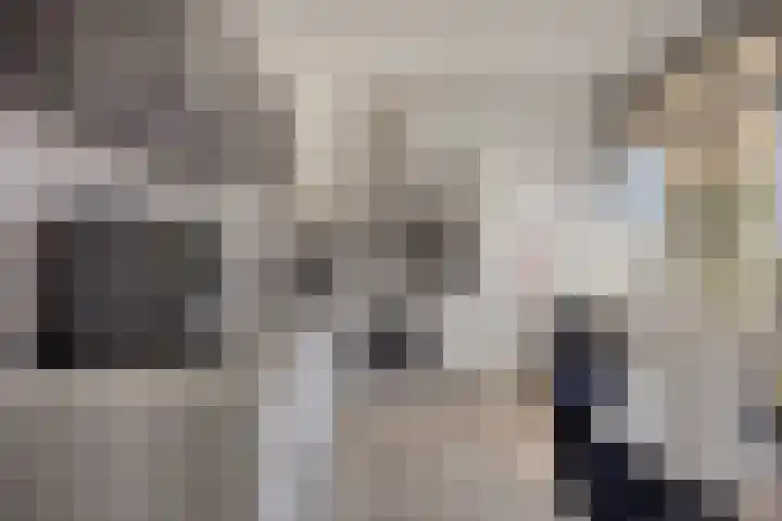 Dotterlei 769 Capelle aan den IJssel thumbnail 6