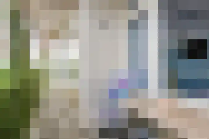 Dotterlei 769 Capelle aan den IJssel thumbnail 9