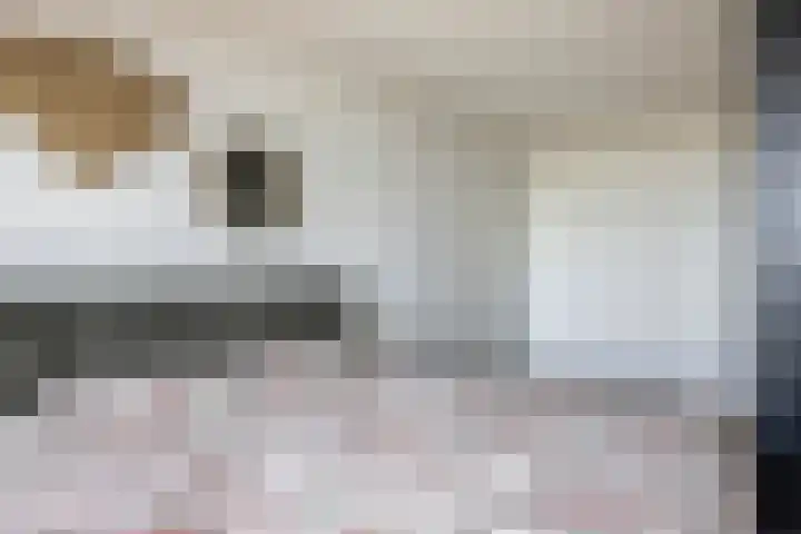Dotterlei 799 Capelle aan den IJssel thumbnail 11