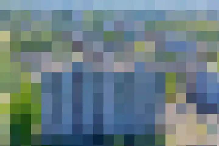 Dotterlei 799 Capelle aan den IJssel thumbnail 28