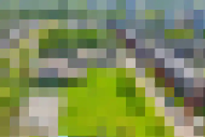 Dotterlei 799 Capelle aan den IJssel thumbnail 32