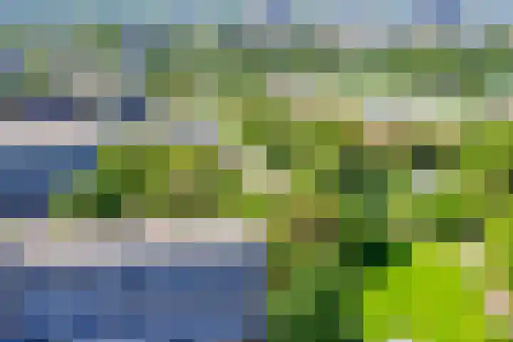 Dotterlei 799 Capelle aan den IJssel thumbnail 33