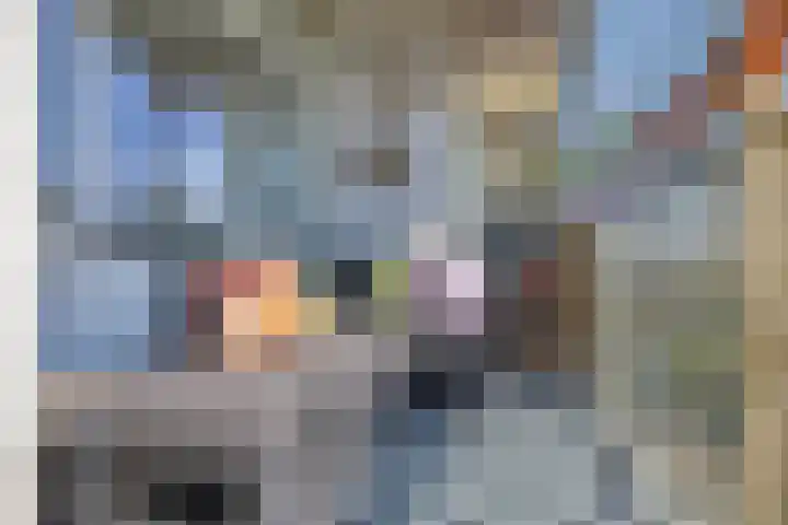 Dotterlei 799 Capelle aan den IJssel thumbnail 4