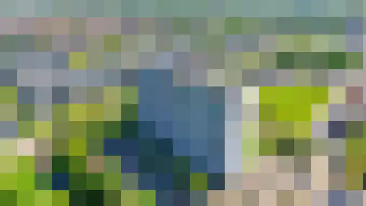 Dotterlei 799 Capelle aan den IJssel thumbnail 40