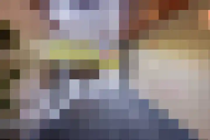 Dotterlei 799 Capelle aan den IJssel thumbnail 6