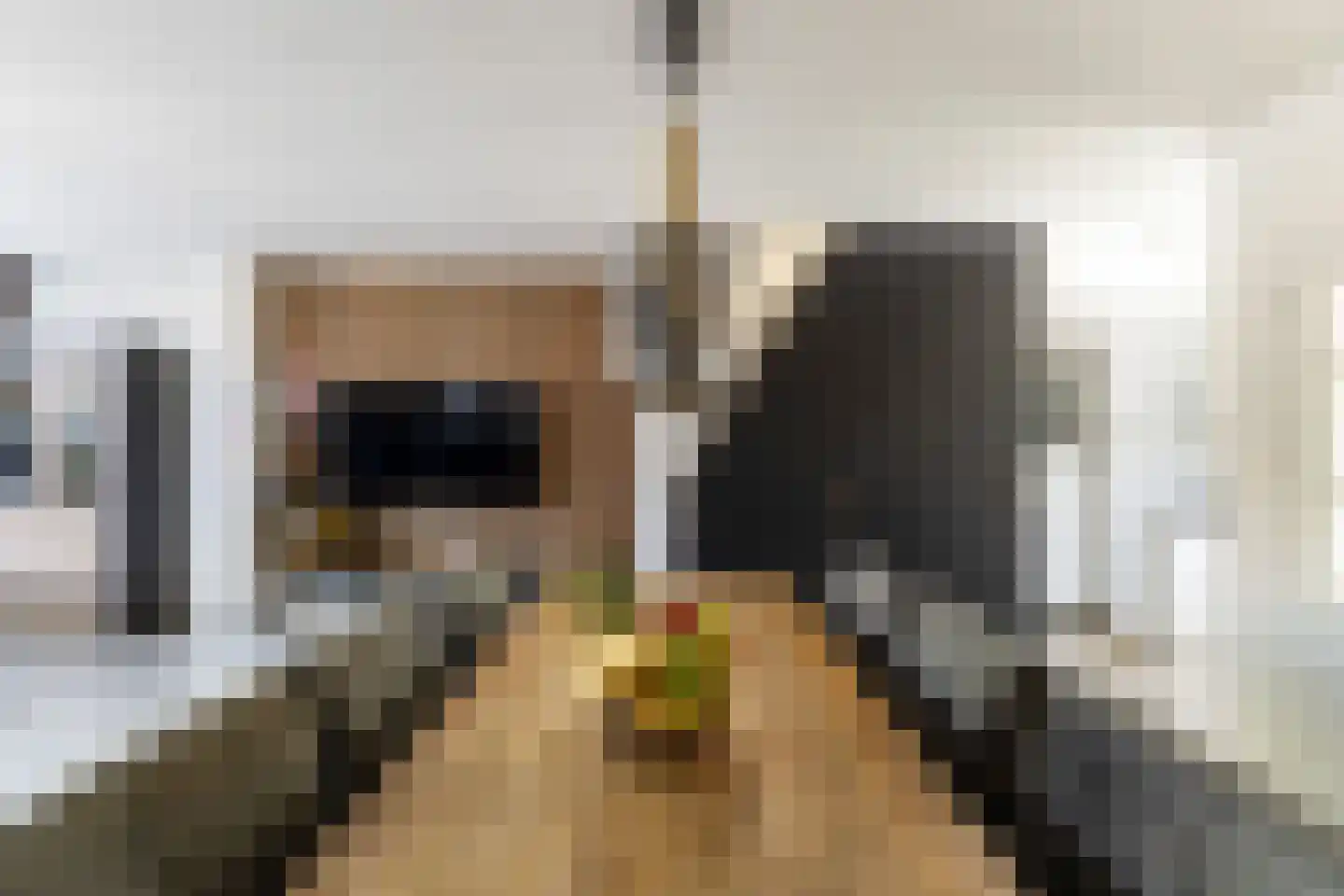 Dotterplantsoen 5 Gouda thumbnail 17