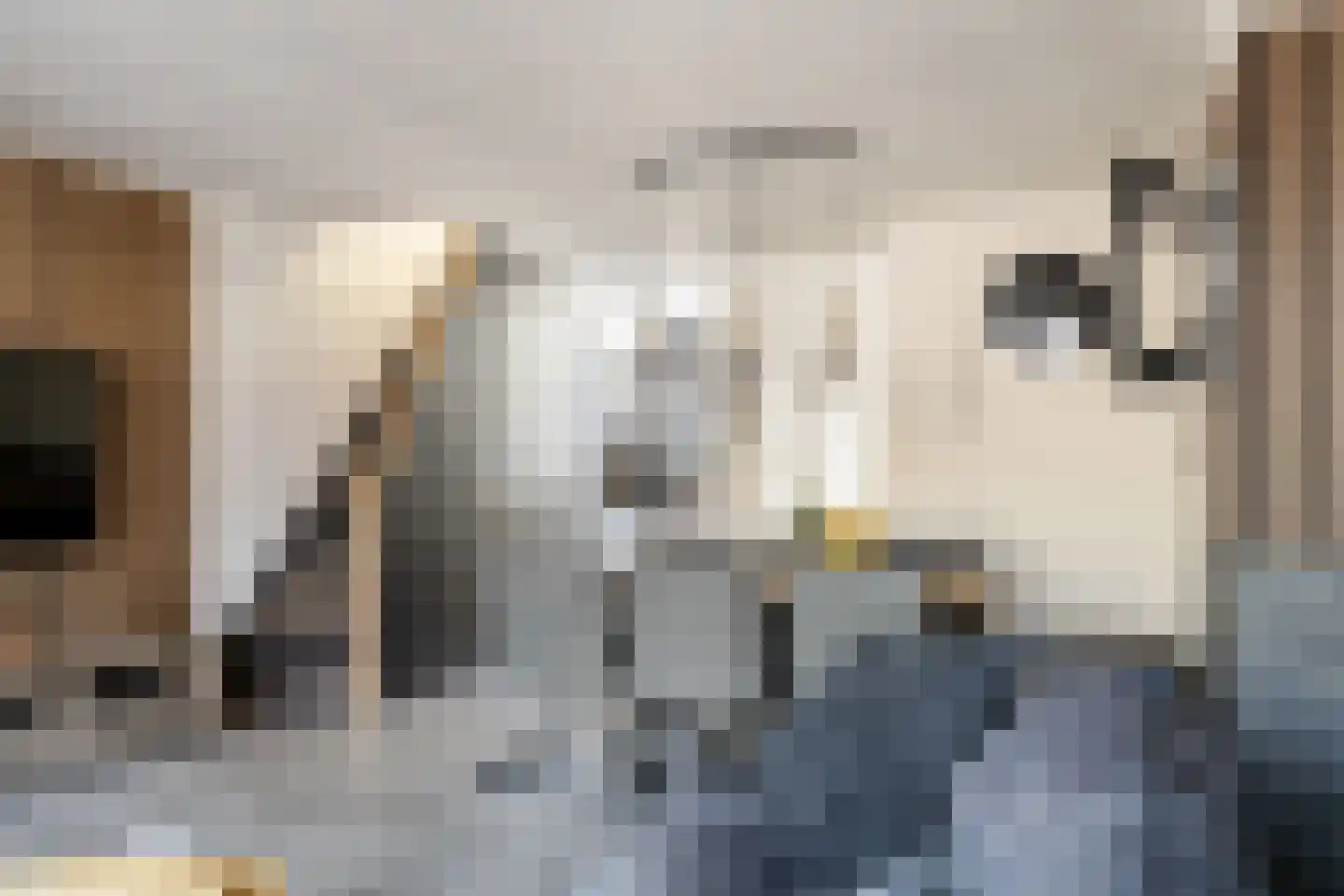 Dotterplantsoen 5 Gouda thumbnail 18