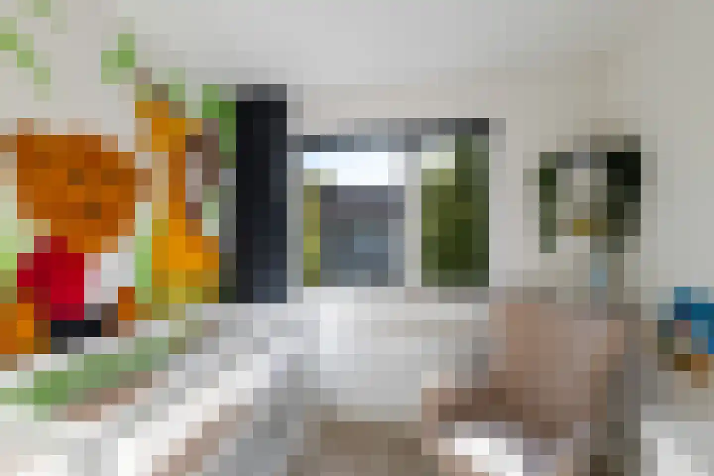Dotterplantsoen 5 Gouda thumbnail 30