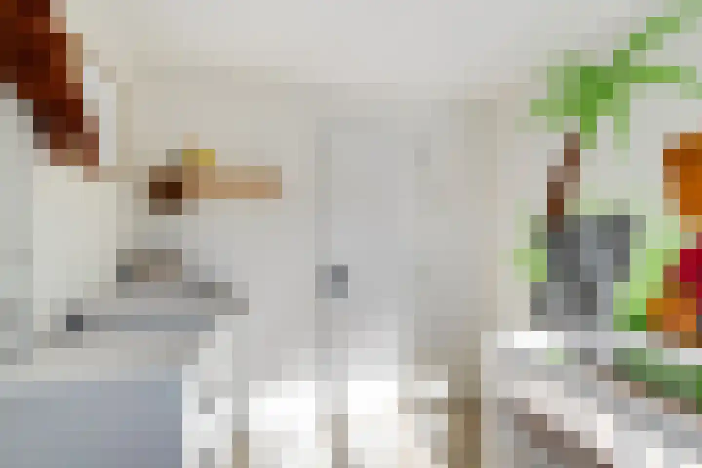 Dotterplantsoen 5 Gouda thumbnail 32