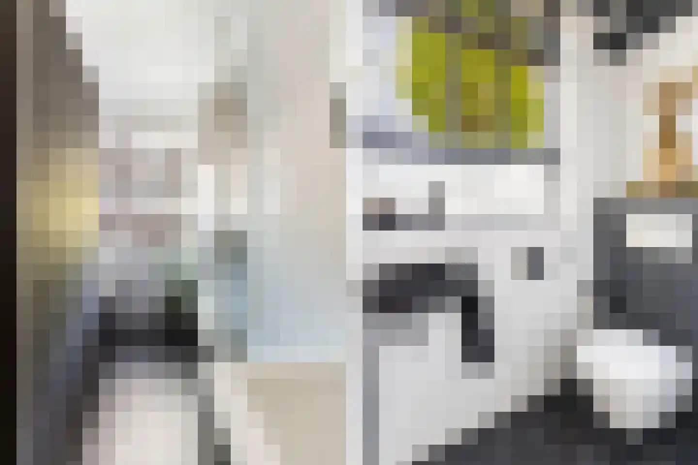 Dotterplantsoen 5 Gouda thumbnail 37