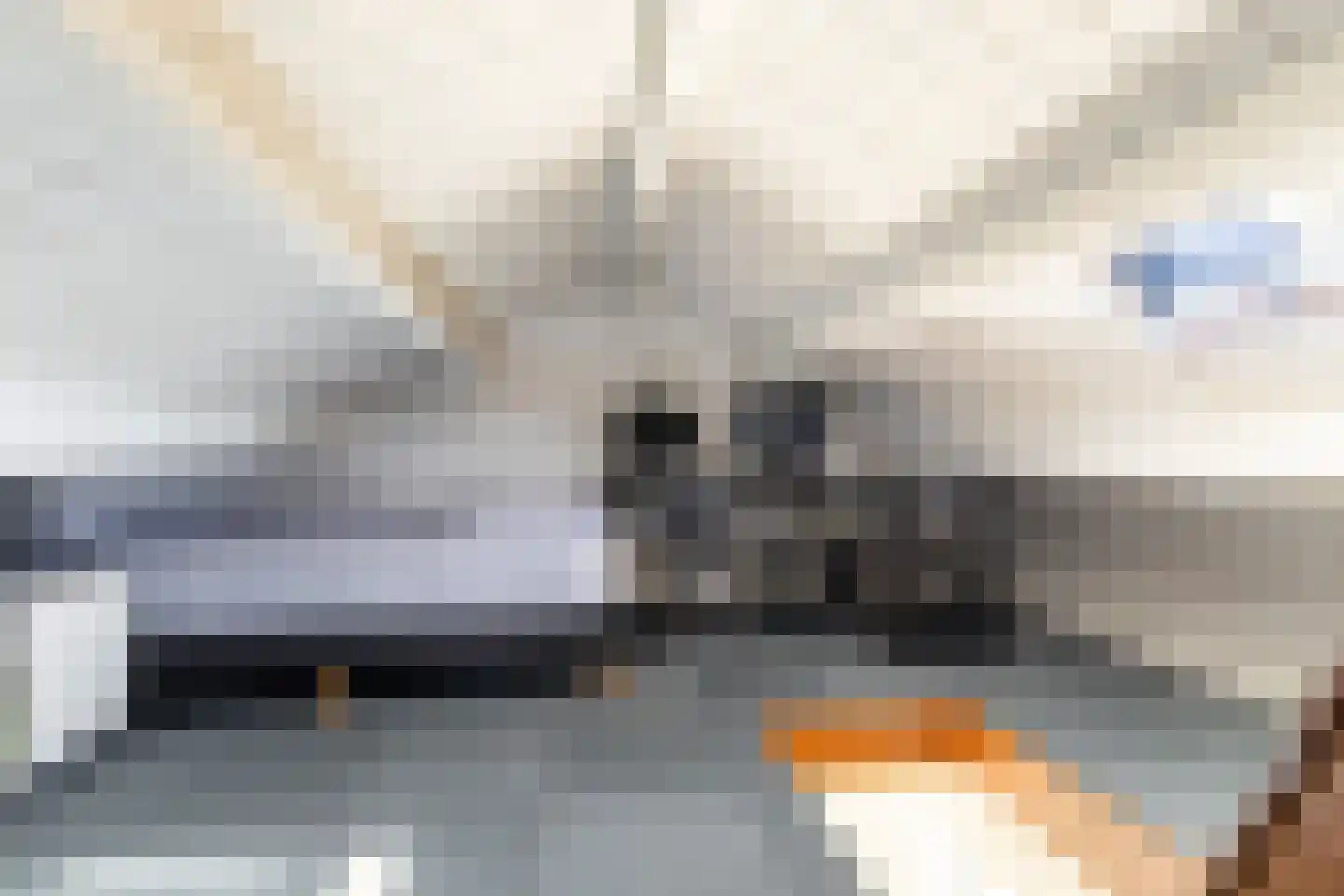 Dotterplantsoen 5 Gouda thumbnail 40