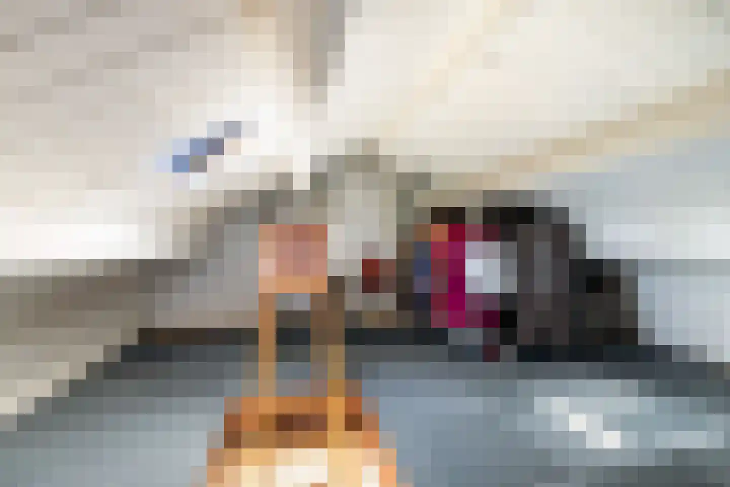 Dotterplantsoen 5 Gouda thumbnail 41