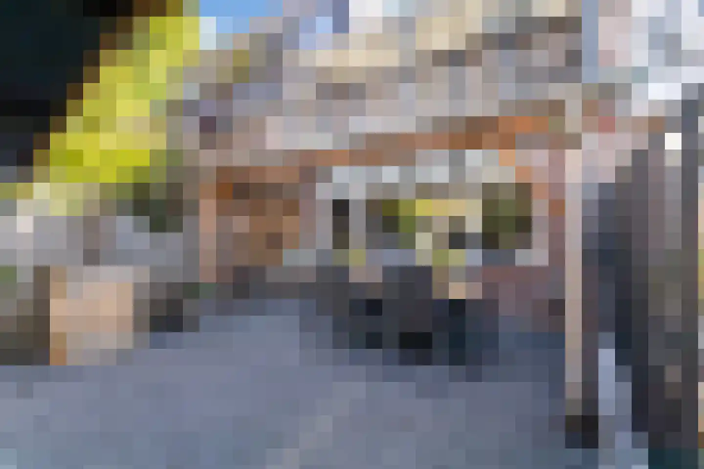 Dotterplantsoen 5 Gouda thumbnail 42