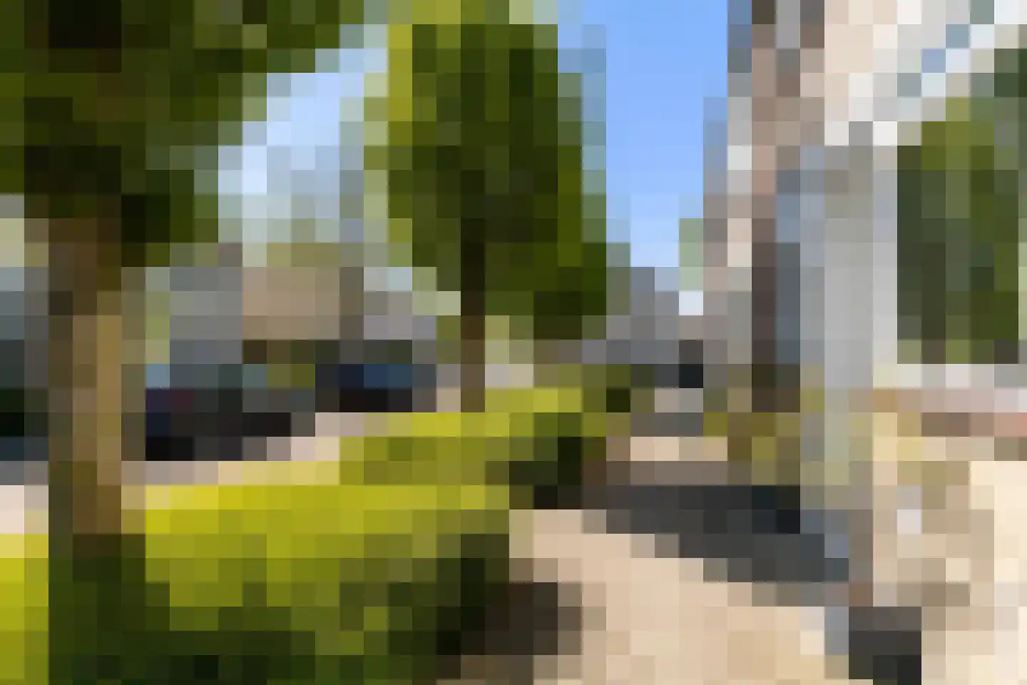 Dotterplantsoen 5 Gouda thumbnail 49