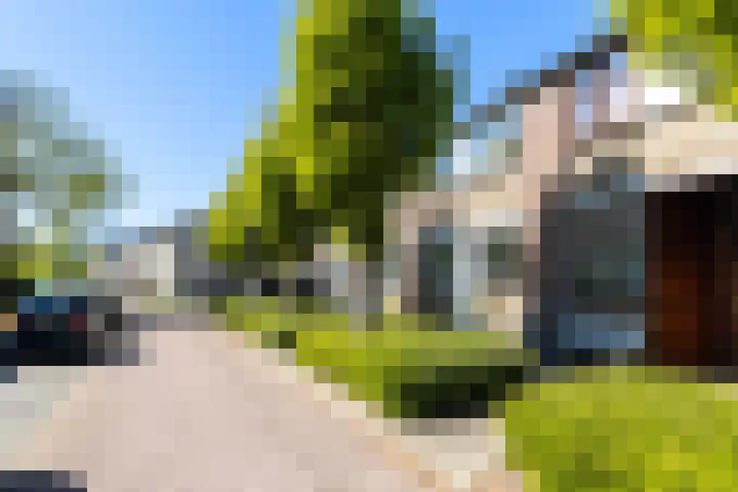 Dotterplantsoen 5 Gouda thumbnail 5