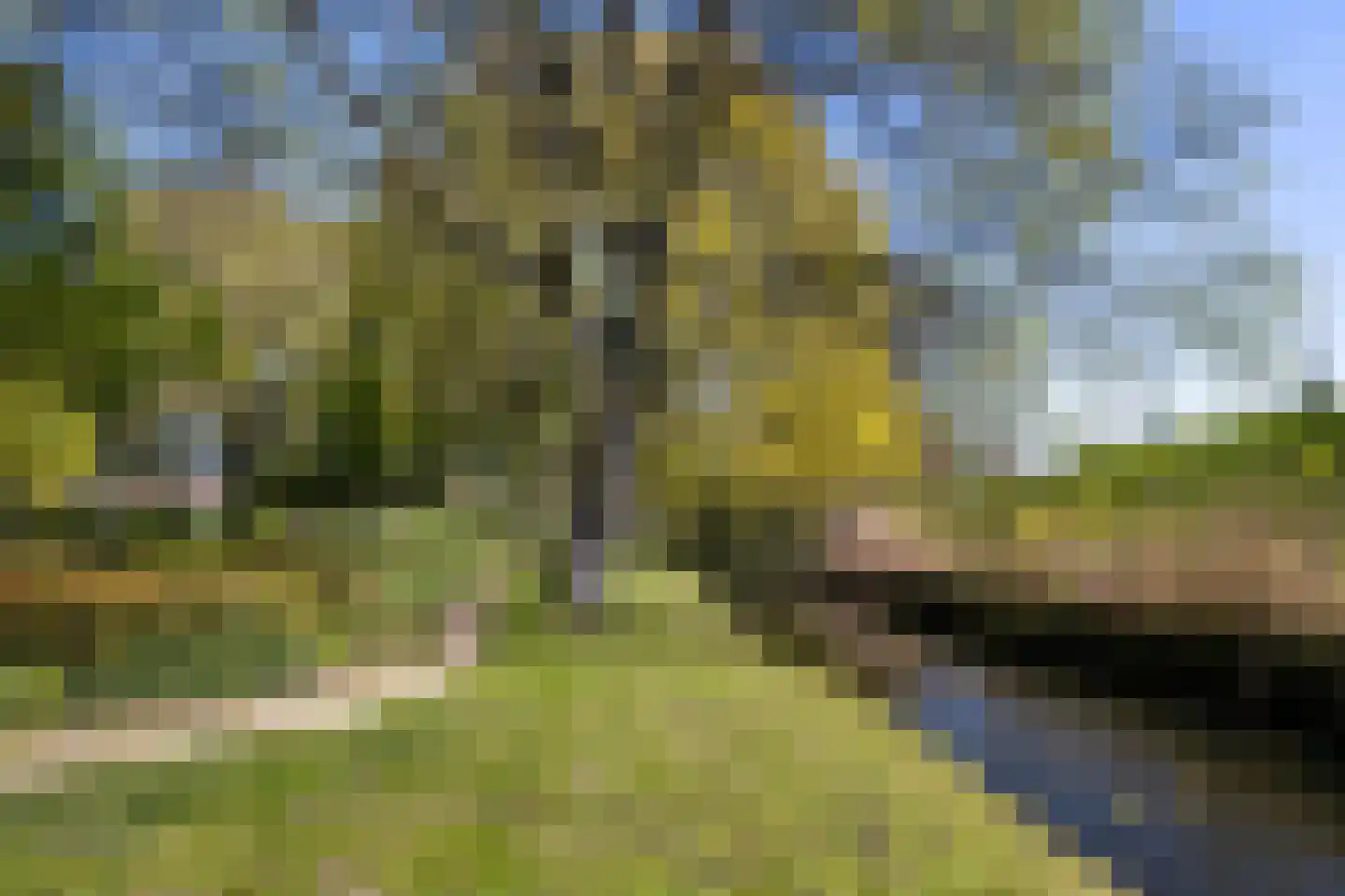 Dotterplantsoen 5 Gouda thumbnail 52