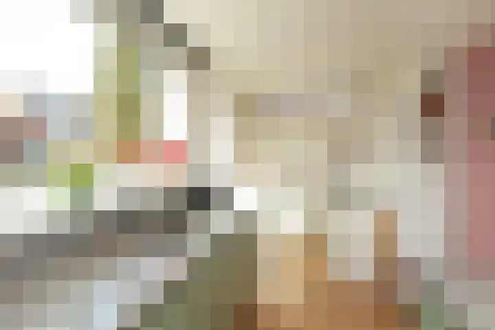 Dotterstraat 23 Hilversum thumbnail 14