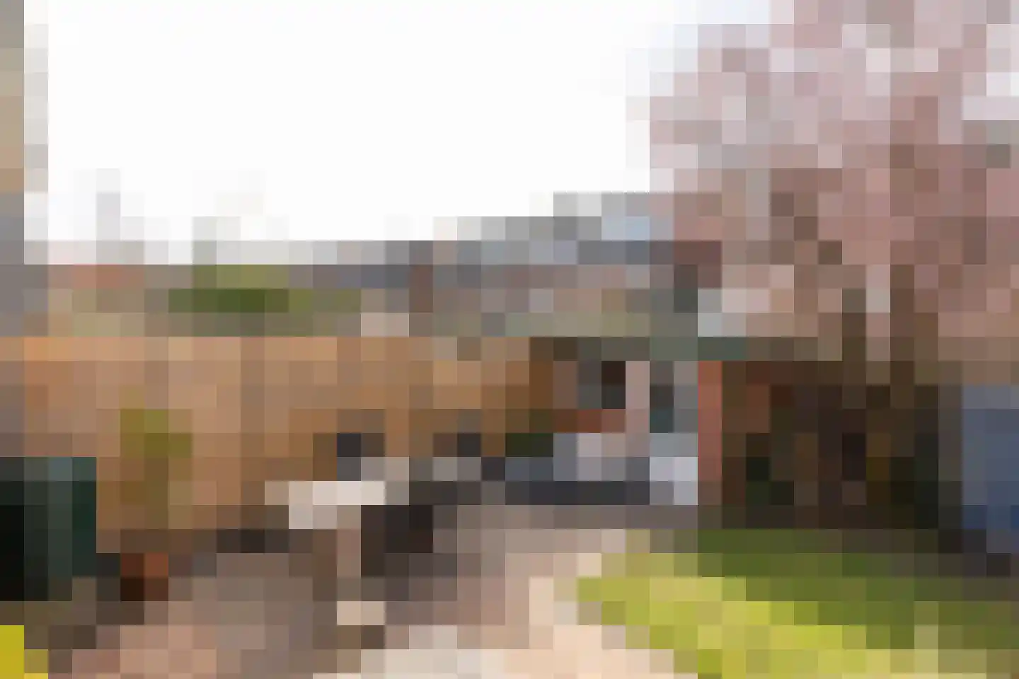 Dotterstraat 23 Hilversum thumbnail 26