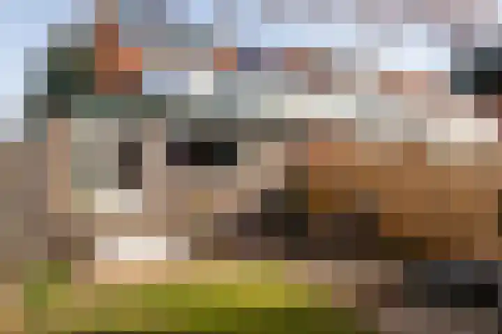 Dotterstraat 23 Hilversum thumbnail 29