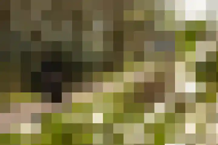Dotterstraat 23 Hilversum thumbnail 31