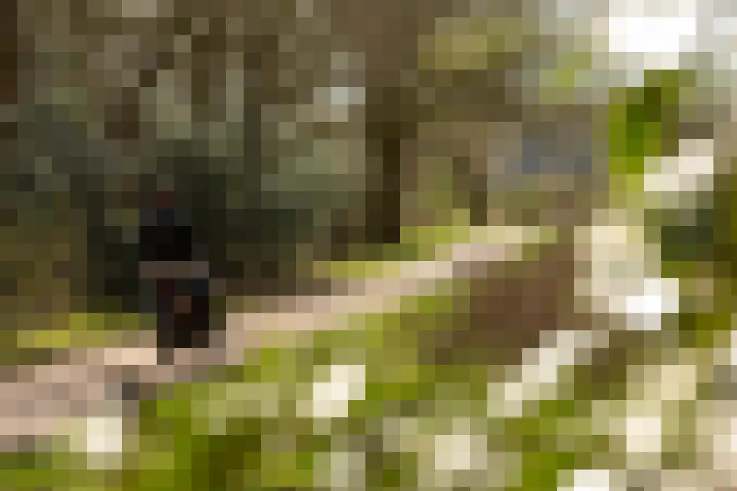 Dotterstraat 23 Hilversum thumbnail 31