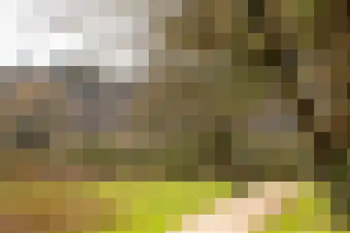 Dotterstraat 23 Hilversum thumbnail 32