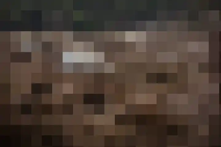 Dotterstraat 23 Hilversum thumbnail 33