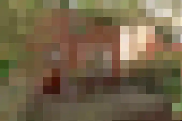 Dotterstraat 23 Hilversum thumbnail 5