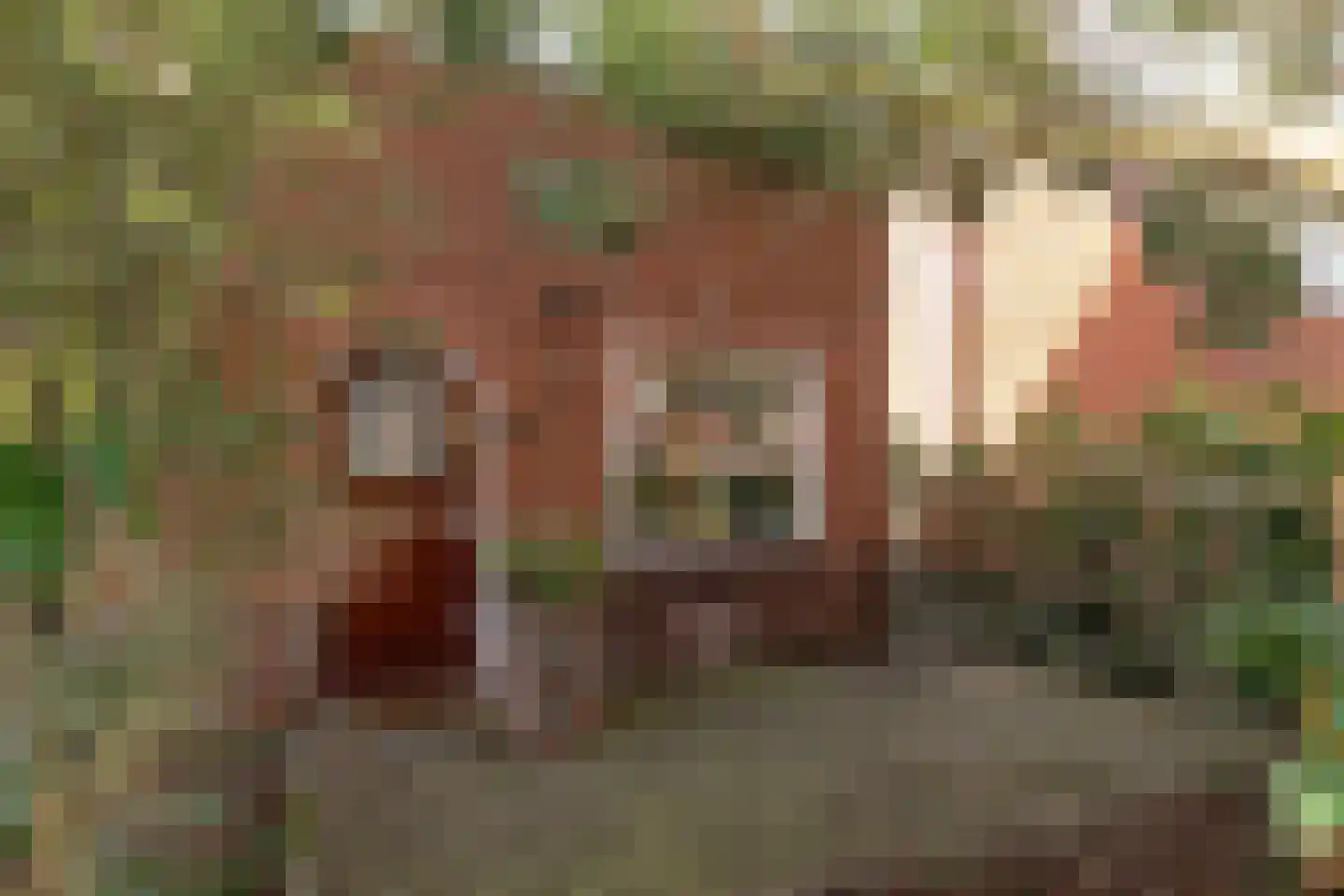 Dotterstraat 23 Hilversum thumbnail 5
