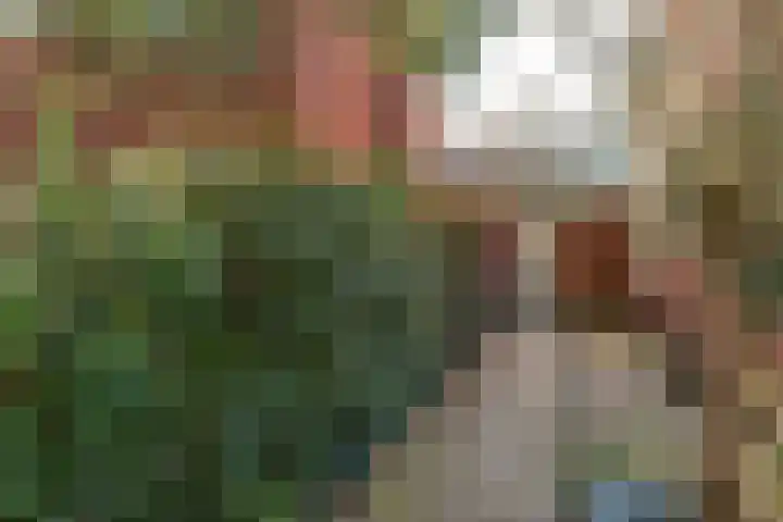 Dotterstraat 23 Hilversum thumbnail 6