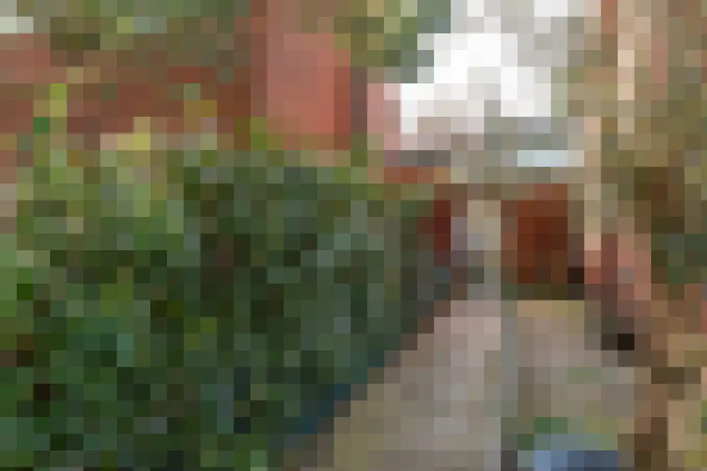 Dotterstraat 23 Hilversum thumbnail 6
