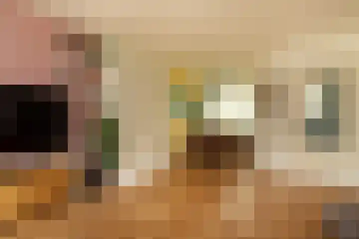 Dotterstraat 23 Hilversum thumbnail 8