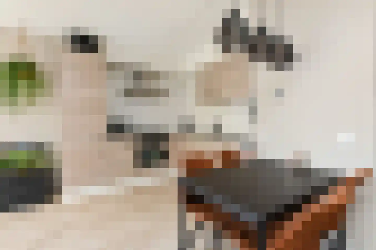 Dotterweide 26 Waddinxveen thumbnail 14