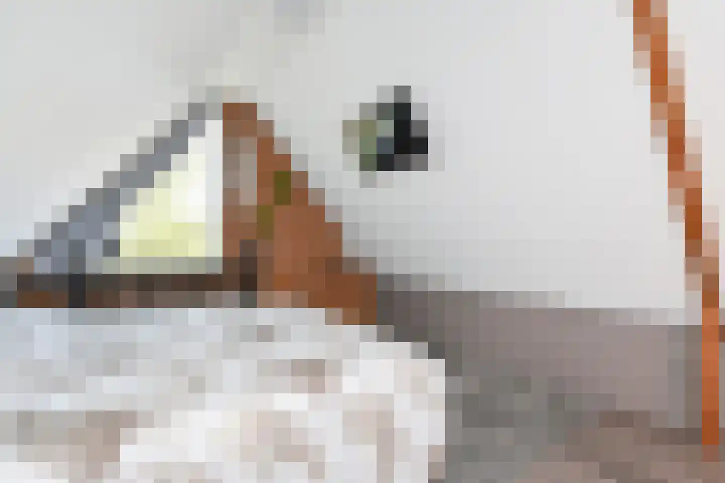 Dotterweide 26 Waddinxveen thumbnail 24