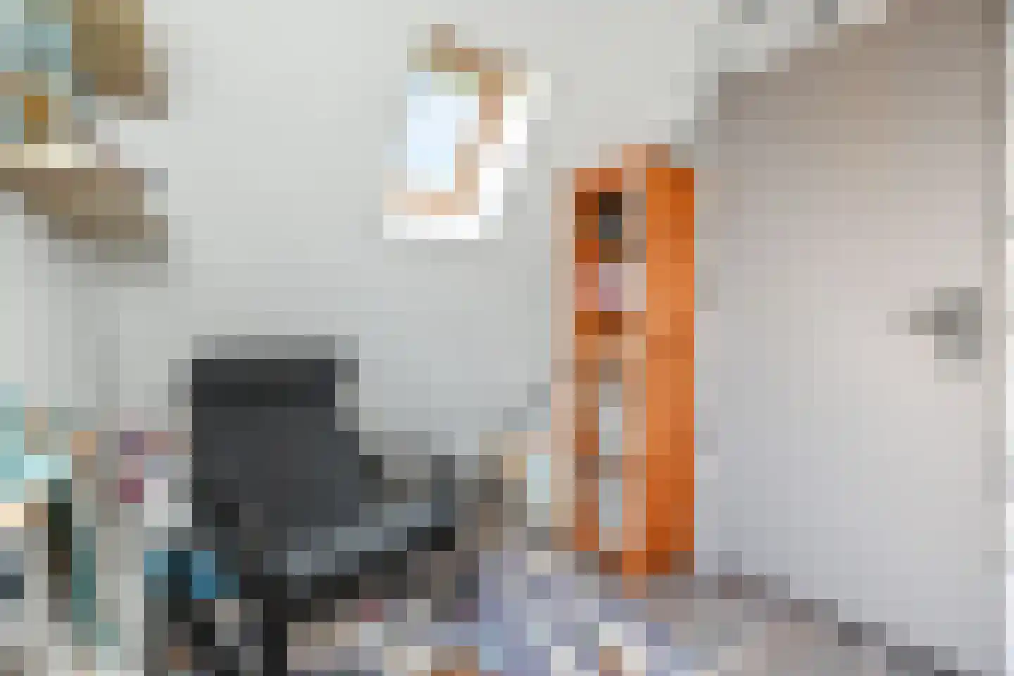Dotterweide 26 Waddinxveen thumbnail 28