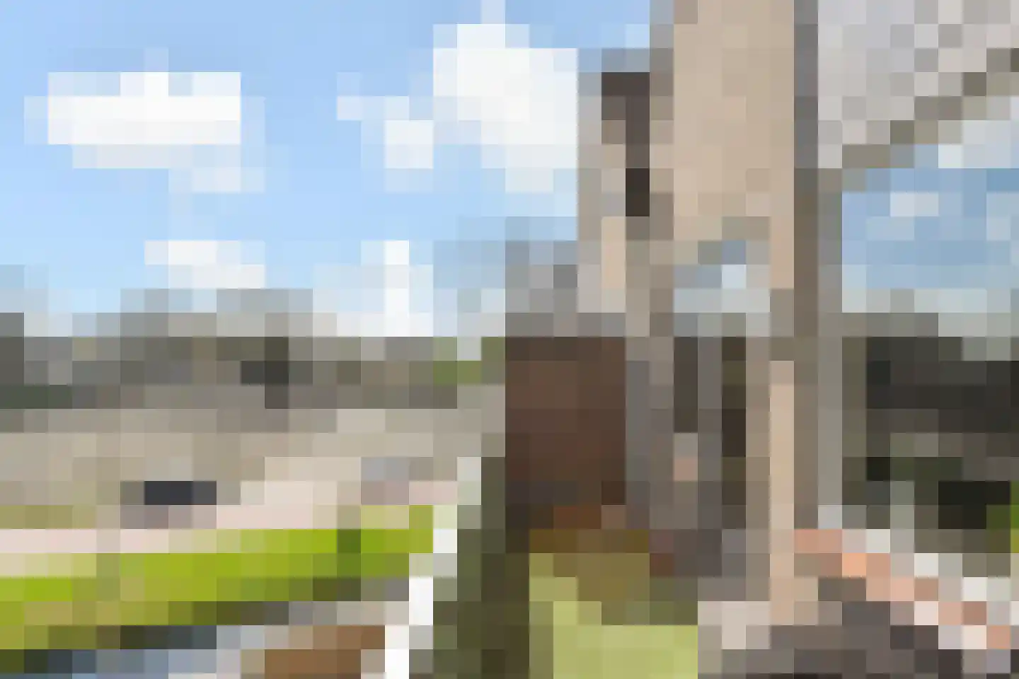 Dotterweide 26 Waddinxveen thumbnail 30
