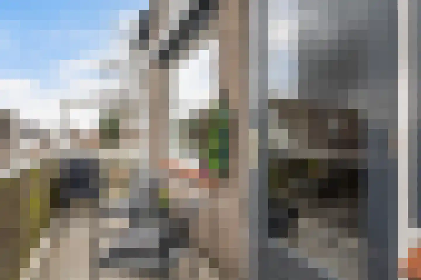 Dotterweide 52 Waddinxveen thumbnail 10