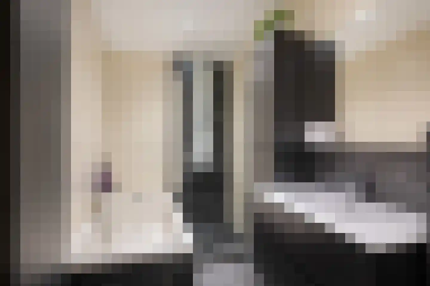 Dotterweide 52 Waddinxveen thumbnail 14