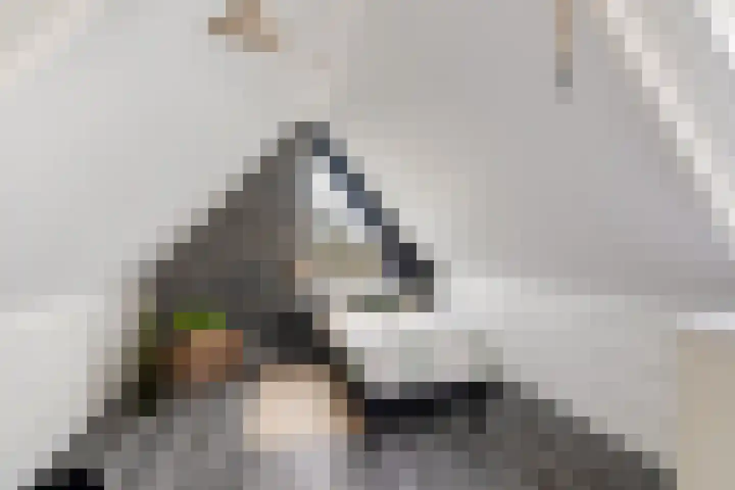 Dotterweide 52 Waddinxveen thumbnail 19