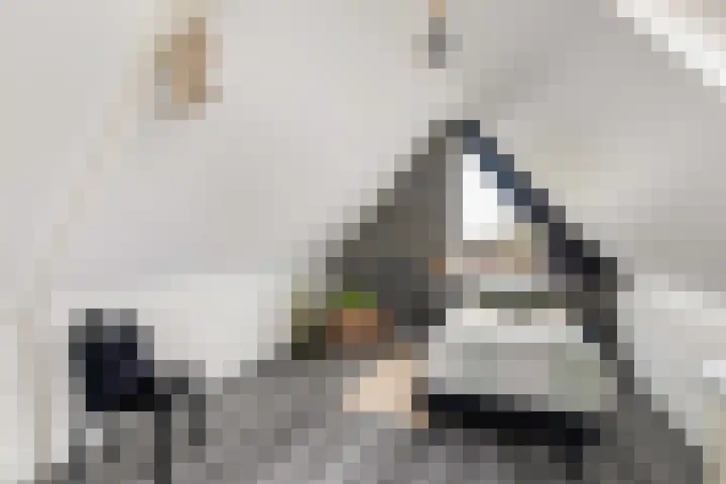 Dotterweide 52 Waddinxveen thumbnail 20