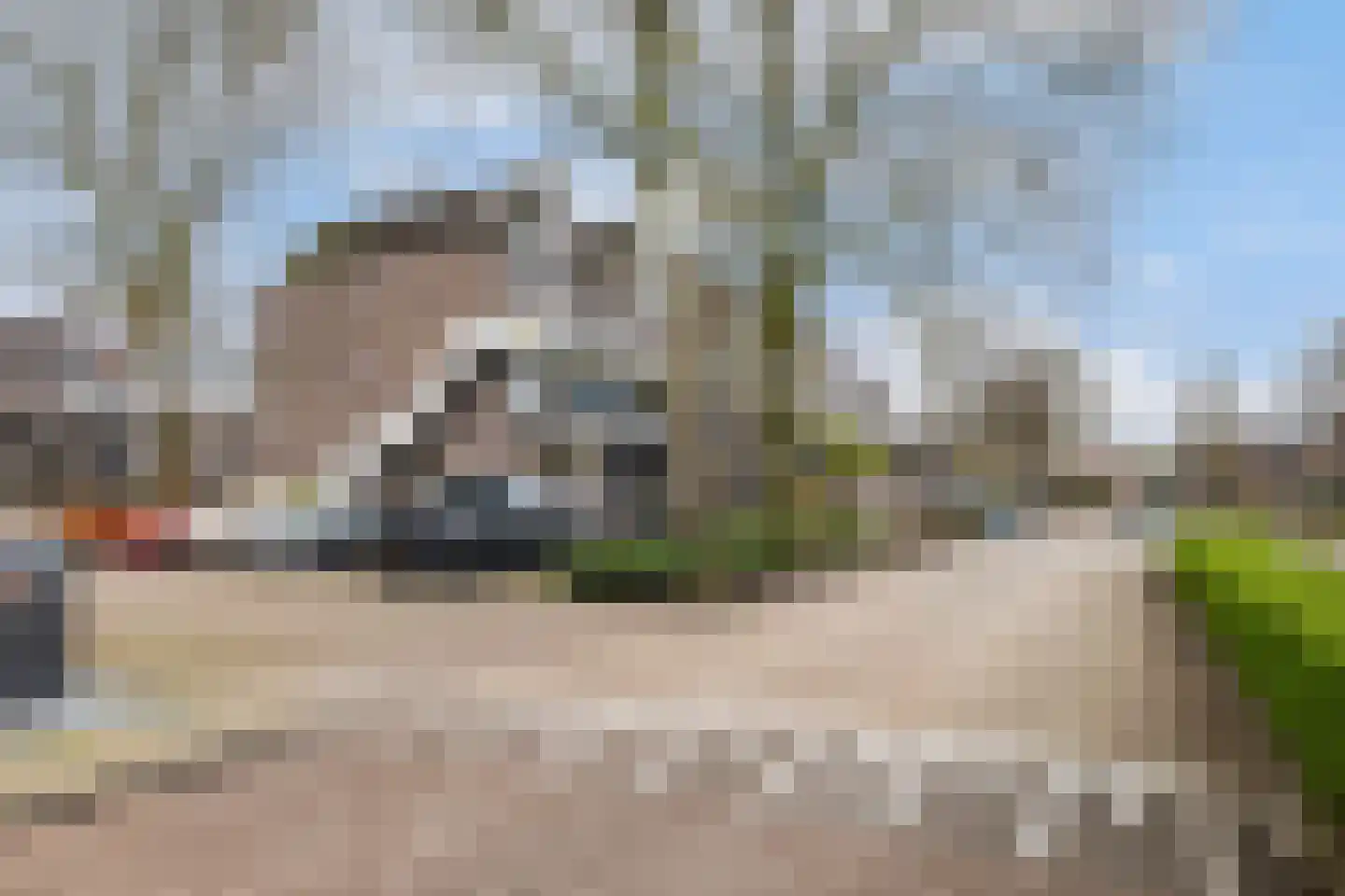 Dotterweide 52 Waddinxveen thumbnail 23