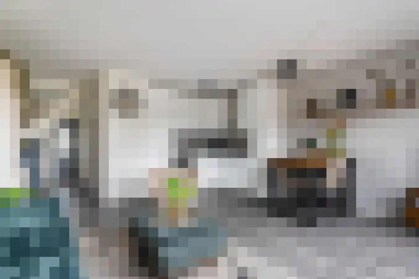 Dotterweide 52 Waddinxveen thumbnail 8