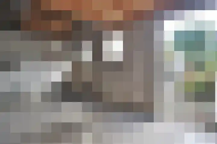 Doude van Troostwijkstraat 49 Abcoude thumbnail 20