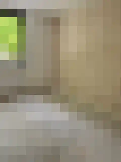 Douglashout 102 Eindhoven thumbnail 6