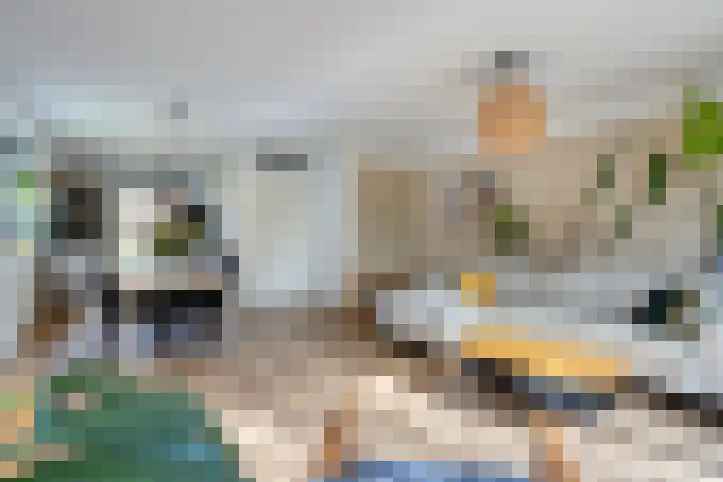 Douglashout 110 Eindhoven thumbnail 11