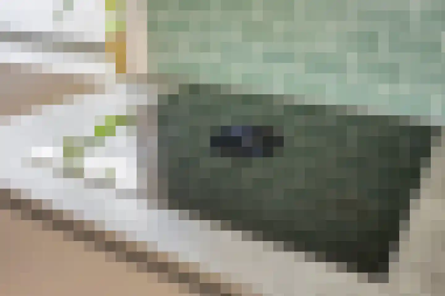 Douglashout 110 Eindhoven thumbnail 16
