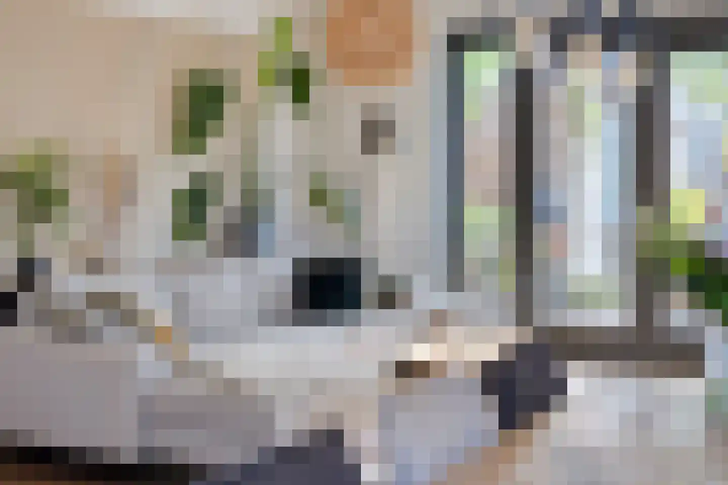 Douglashout 110 Eindhoven thumbnail 17
