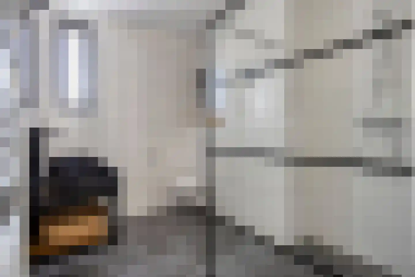 Douglashout 110 Eindhoven thumbnail 26