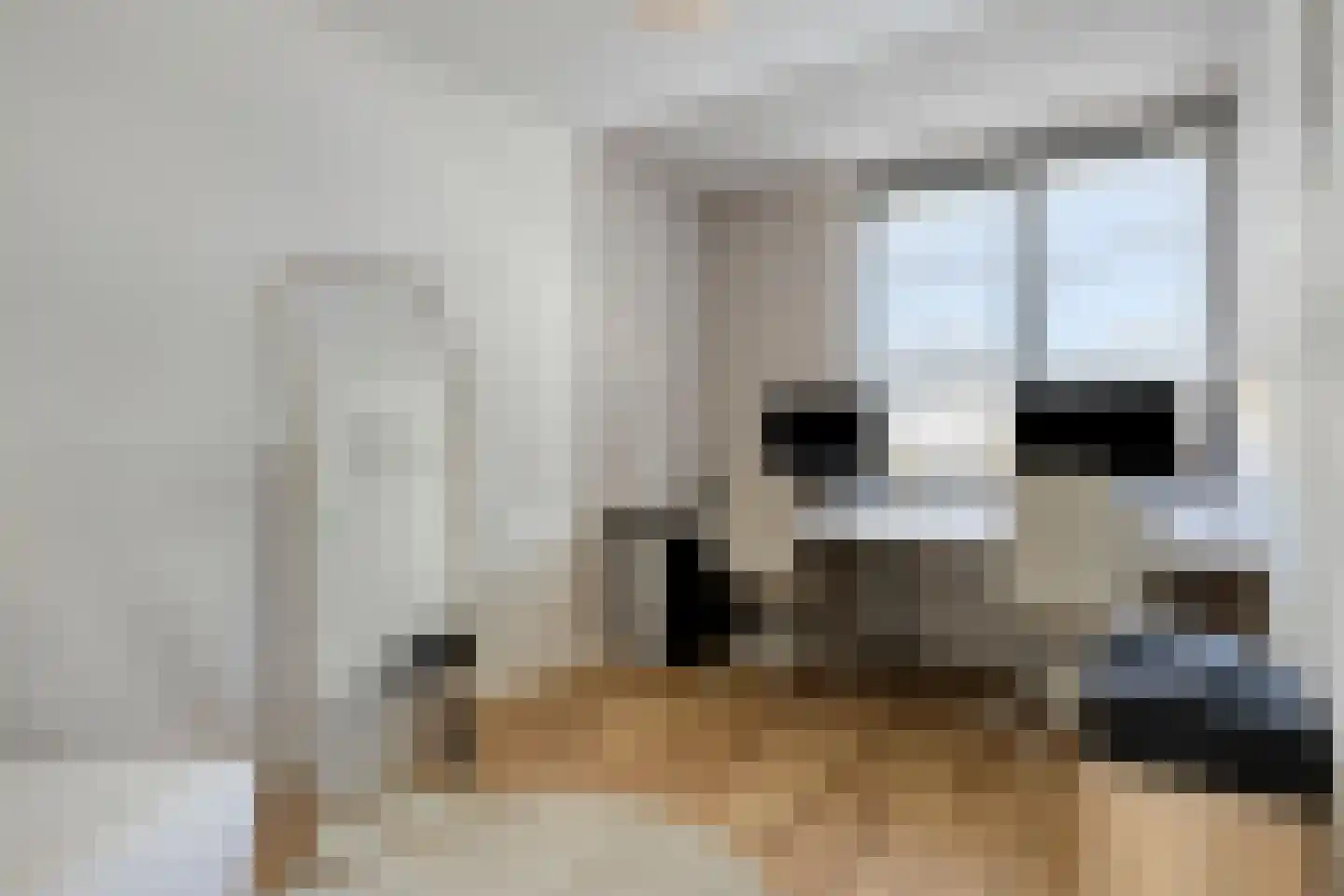 Douglashout 110 Eindhoven thumbnail 29