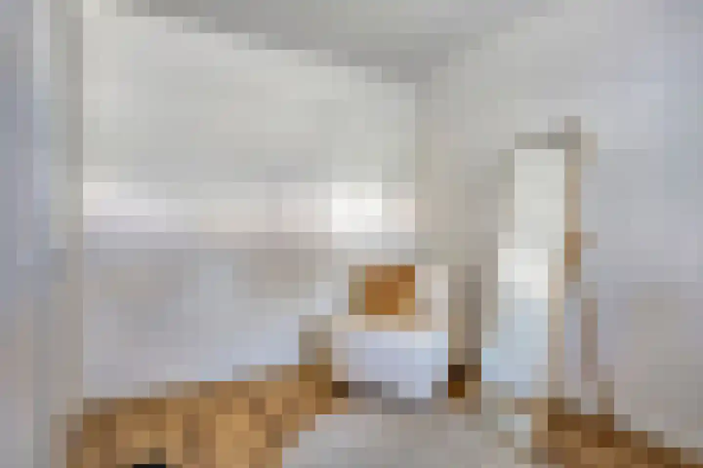 Douglashout 110 Eindhoven thumbnail 30